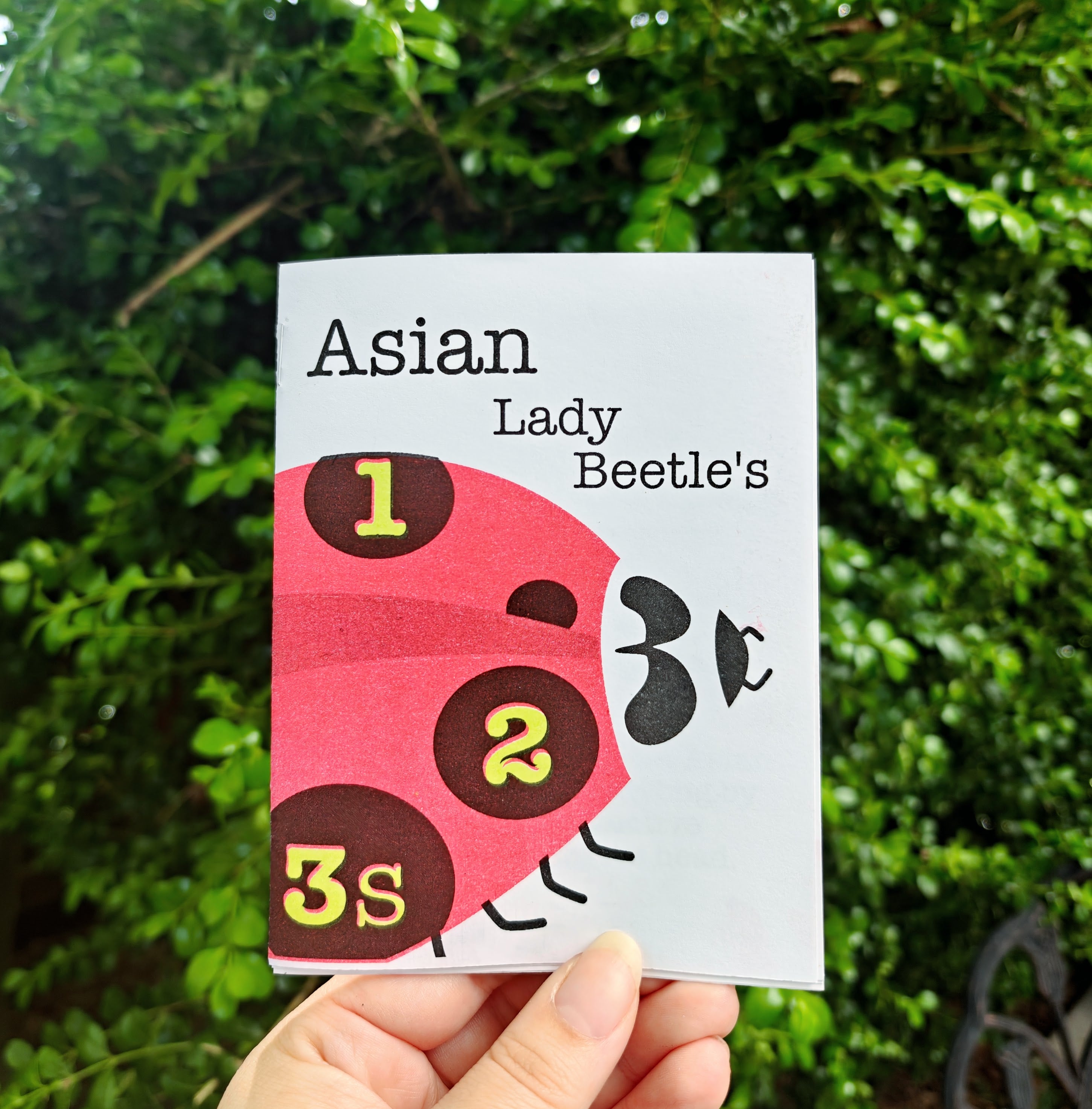 Asian Lady Beetle's 123s - A Counting Zine