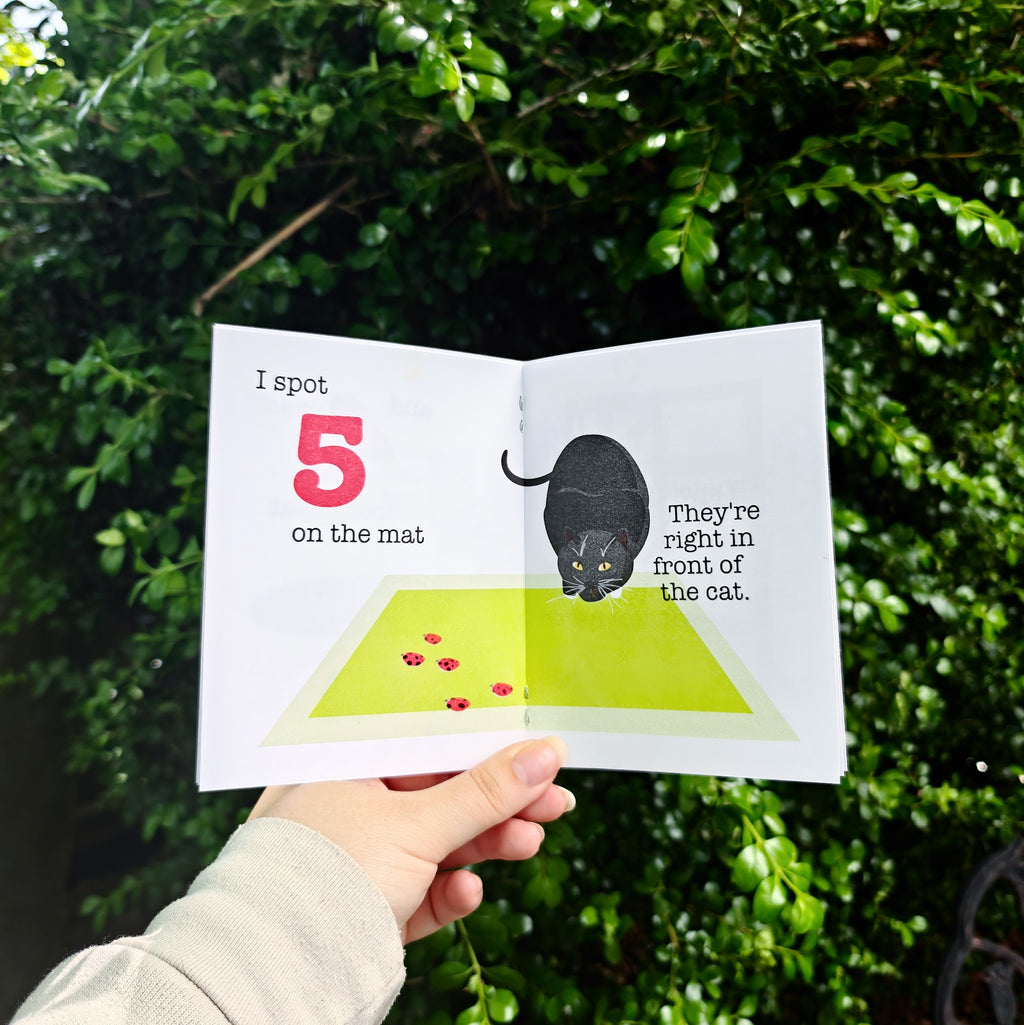 Asian Lady Beetle's 123s - A Counting Zine