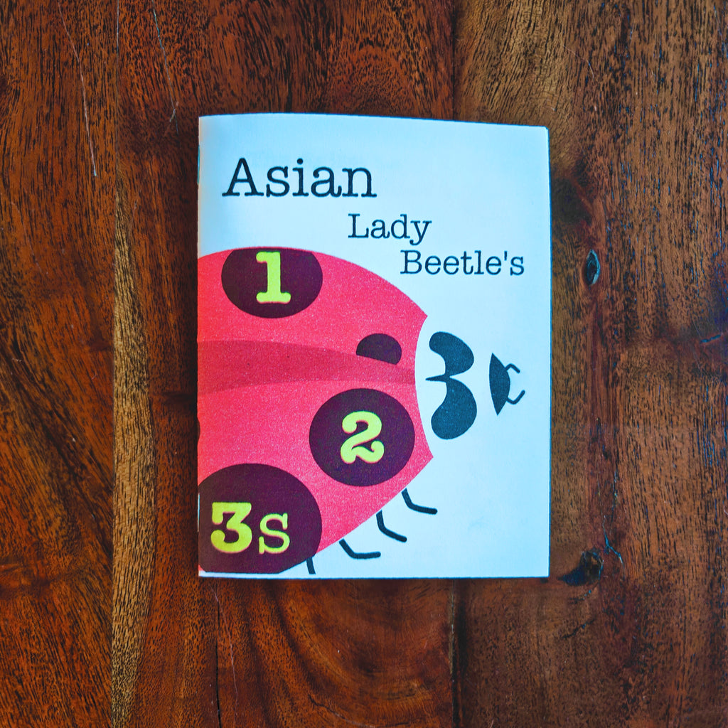 Asian Lady Beetle's 123s - A Counting Zine