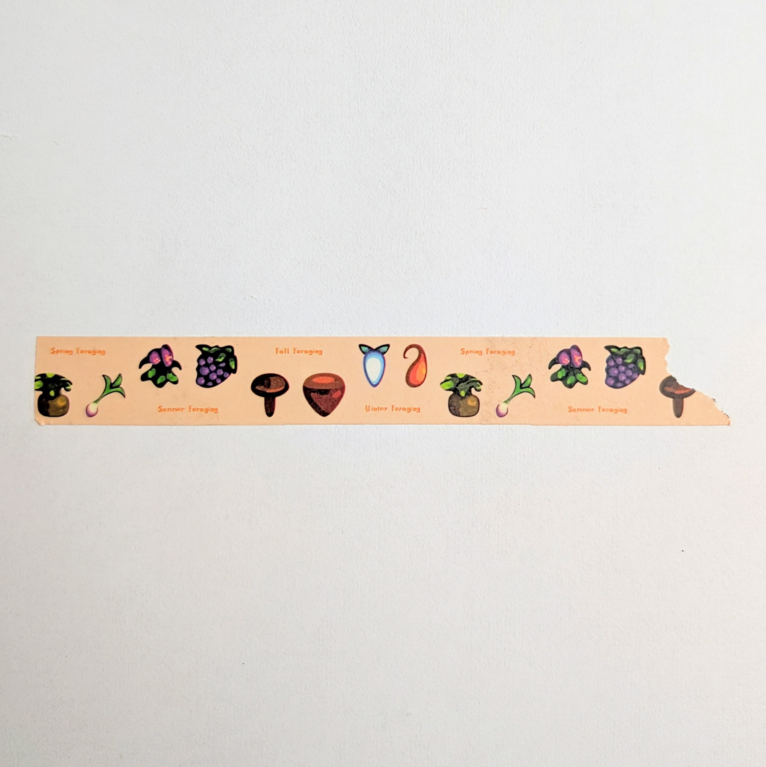 Seasonal Foraging Washi Tape